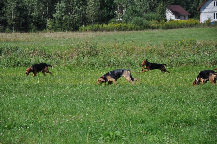 DSC_0624.jpg