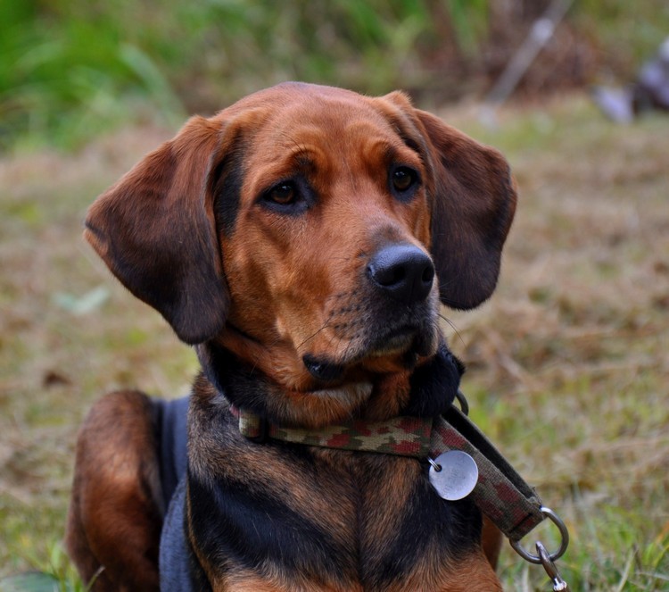 DSC_0169.jpg