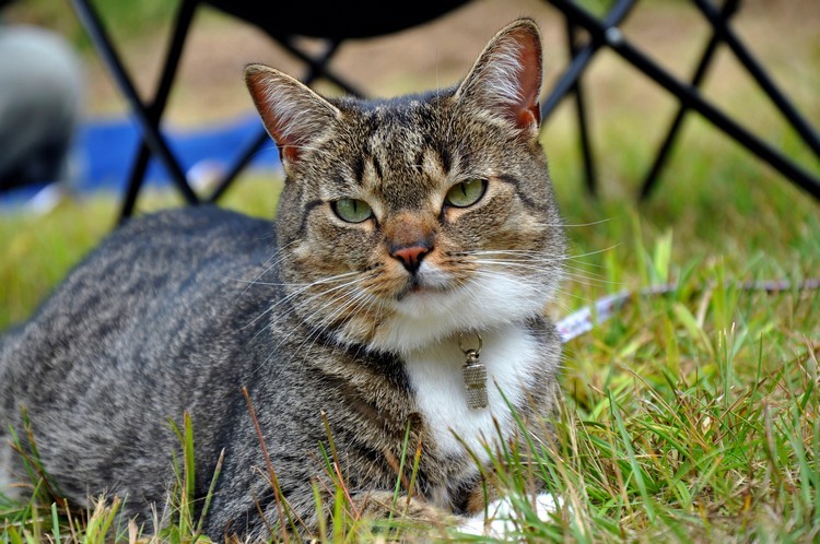 DSC_0455.jpg