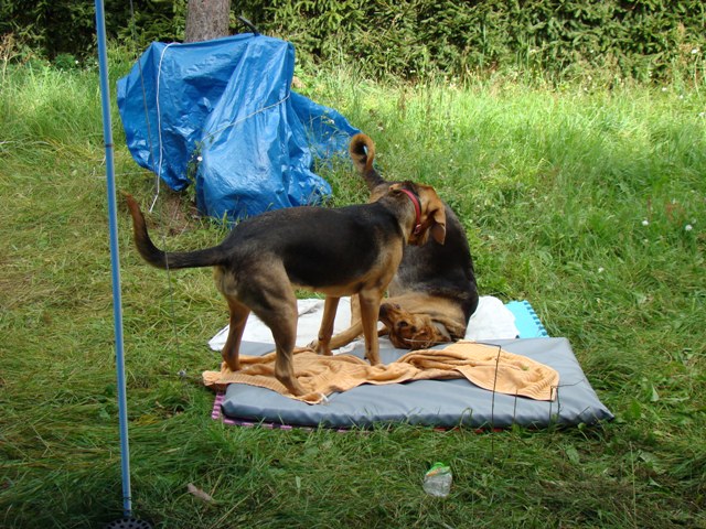 DSC08593.JPG