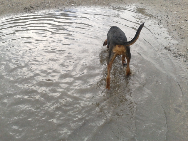 2012-08-26 15.29.15.jpg
