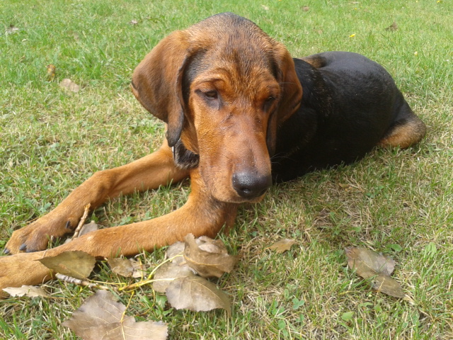 2012-08-26 15.59.21.jpg