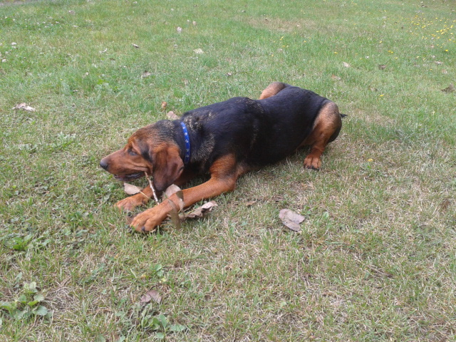 2012-08-26 15.57.13.jpg