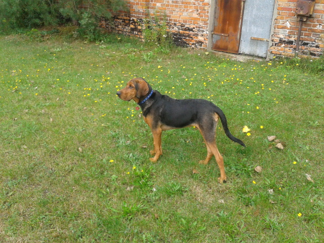 2012-08-26 15.55.38.jpg