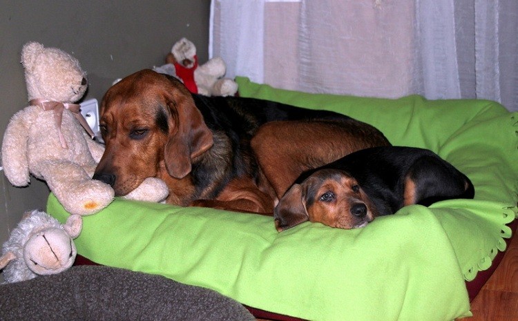 obraz016resize.jpg