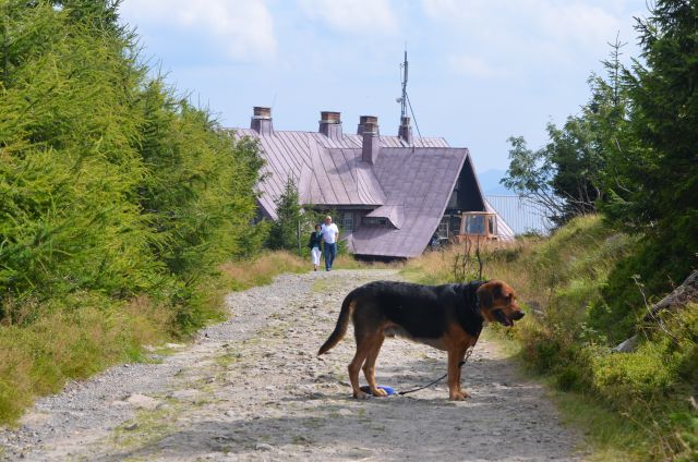 Wakacje sierpień 2012 091.jpg
