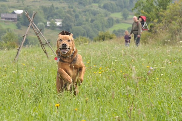 2012_08_Beskid_Niski_02.jpg