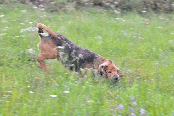 2012_08_Beskid_Niski_03.jpg