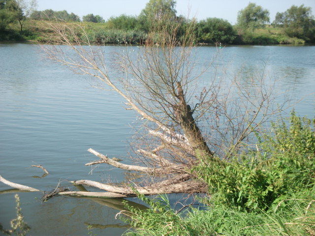 DSCF6630.JPG