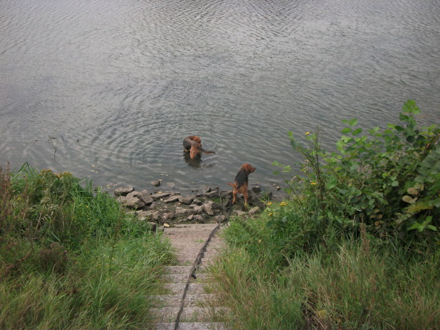 DSCF6718.JPG
