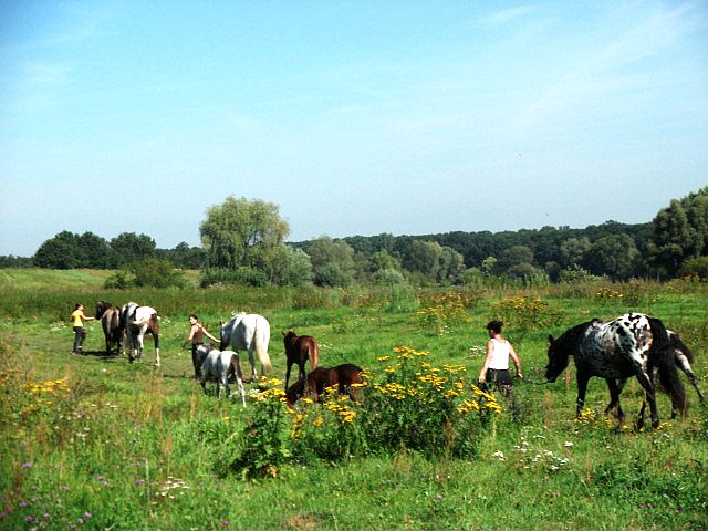 DSCF6835.JPG
