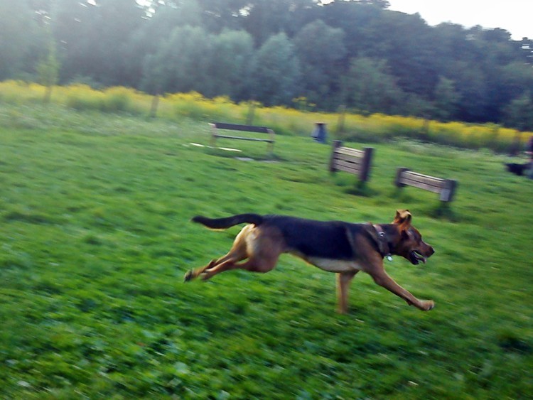 Hooops...