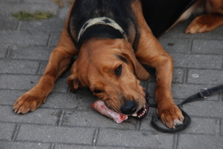 DSC_0079.JPG