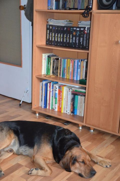 Ciasteczka.jpg