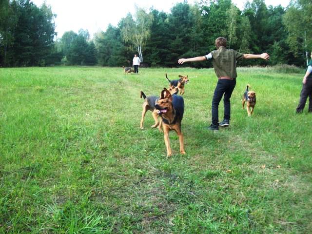 100_4707.JPG