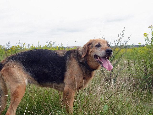 Milka