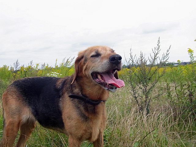 Milka