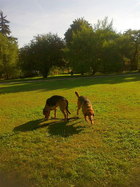 20120910604.jpg