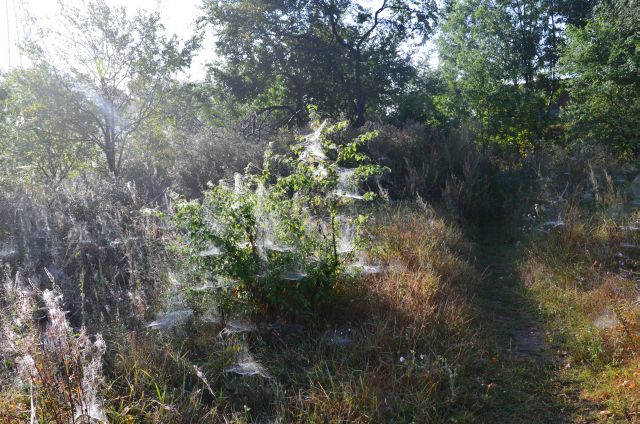 Wrzesień 2012 185.jpg