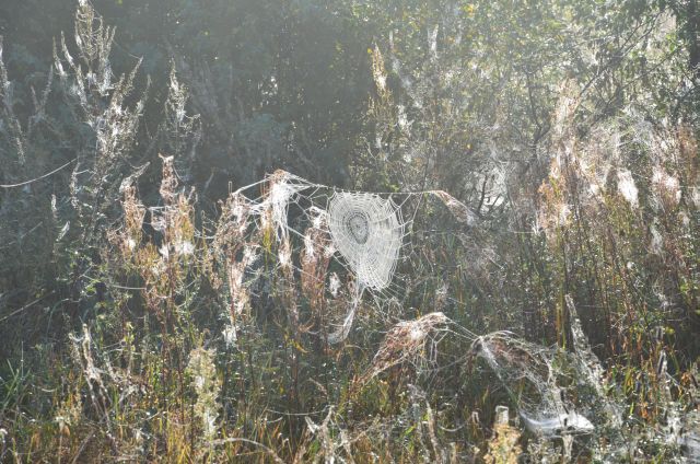 Wrzesień 2012 186.jpg