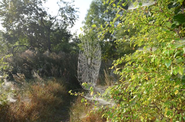 Wrzesień 2012 187.jpg