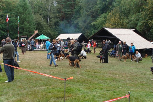 widok ogólny przed wystawą