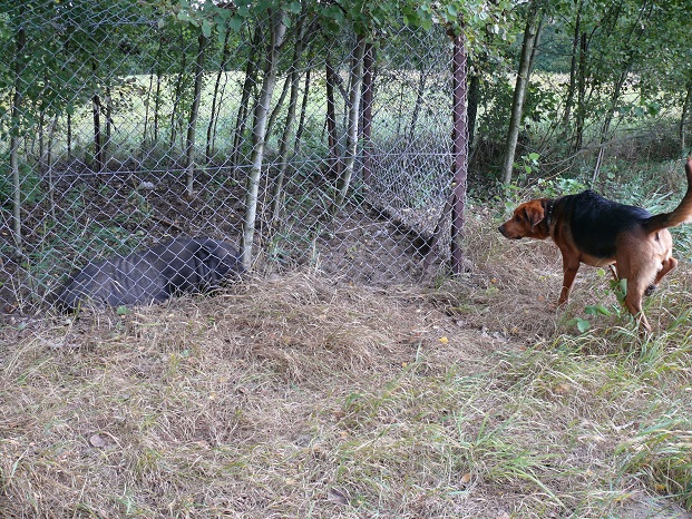 Kto Ty jesteś?