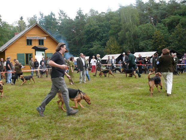 Konkurencje hodowlane.