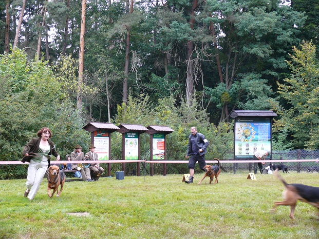 Stawka o najlepszego psa.