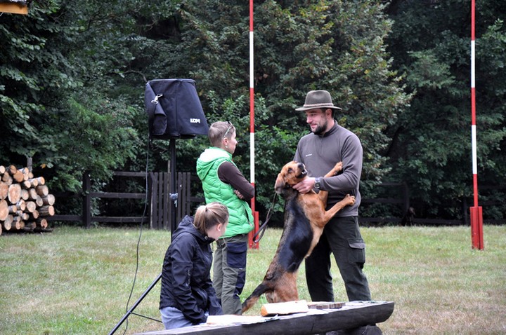 DSC_0786.jpg