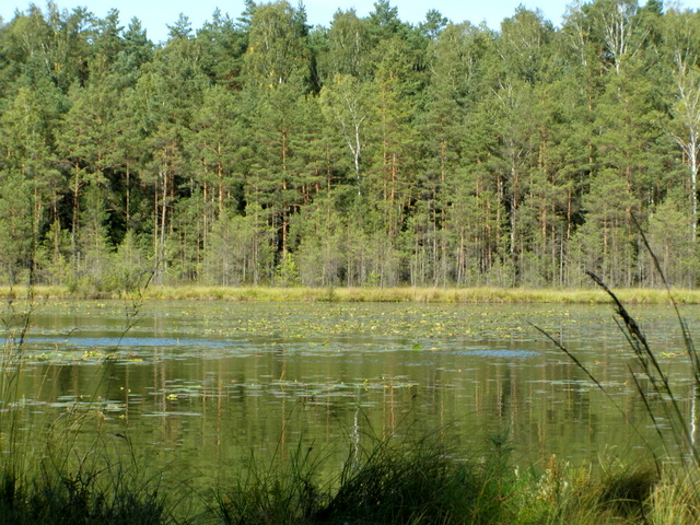 P9100497-001.JPG