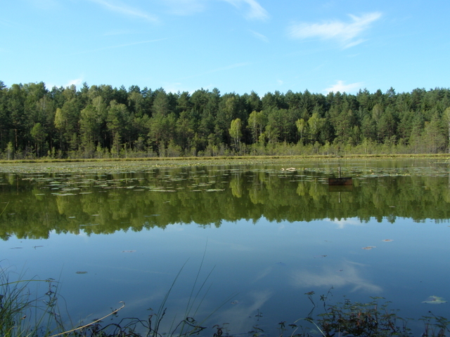 P9100494-001.JPG
