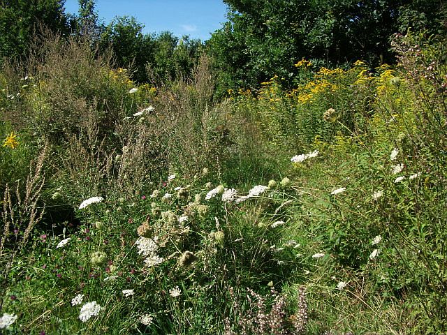 DSCF6589.JPG