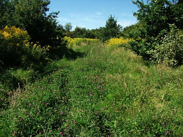 DSCF6582.JPG