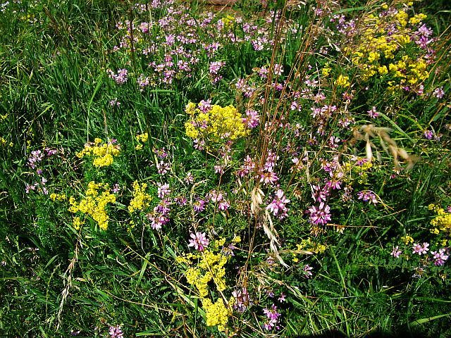 DSCF5888.JPG