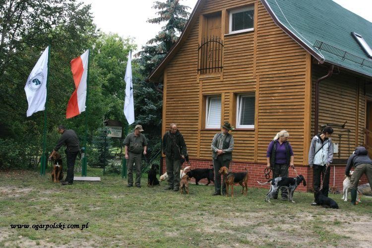 ogłoszeni wyników
