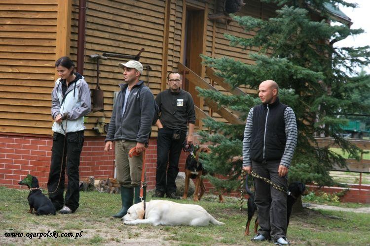 ten jamnik nas bardzo uwiódł
