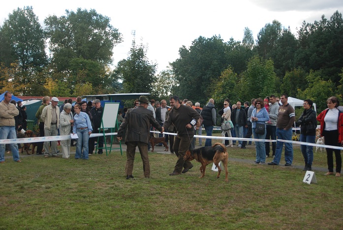 DSC_0771.JPG