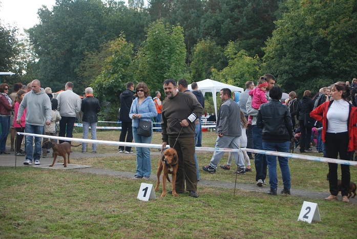 DSC_0774.JPG
