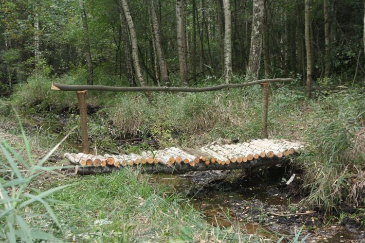 Powstały nowe mostki.