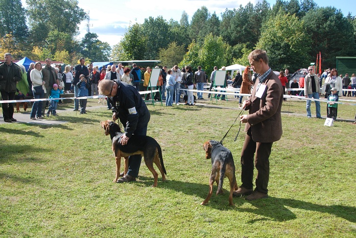 DSC_0725.JPG