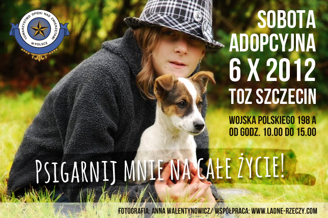 sobota-adopcyjna.jpg