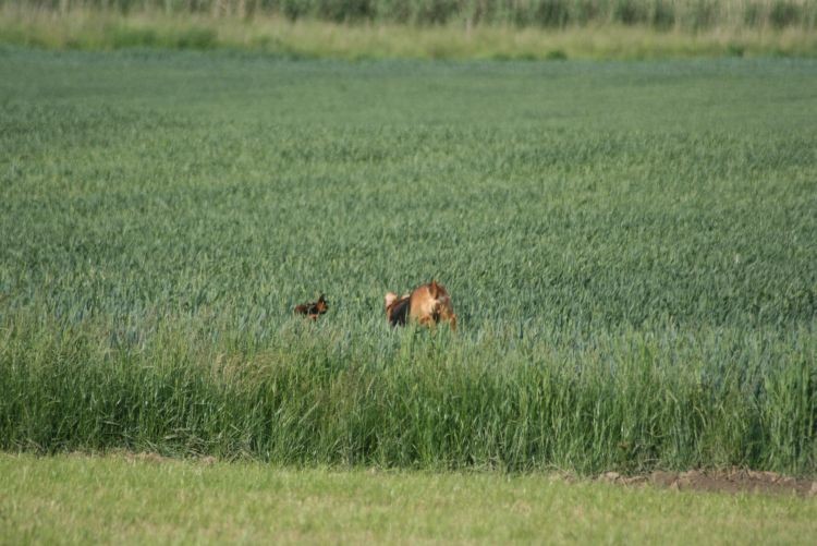 aką 2009 035.jpg