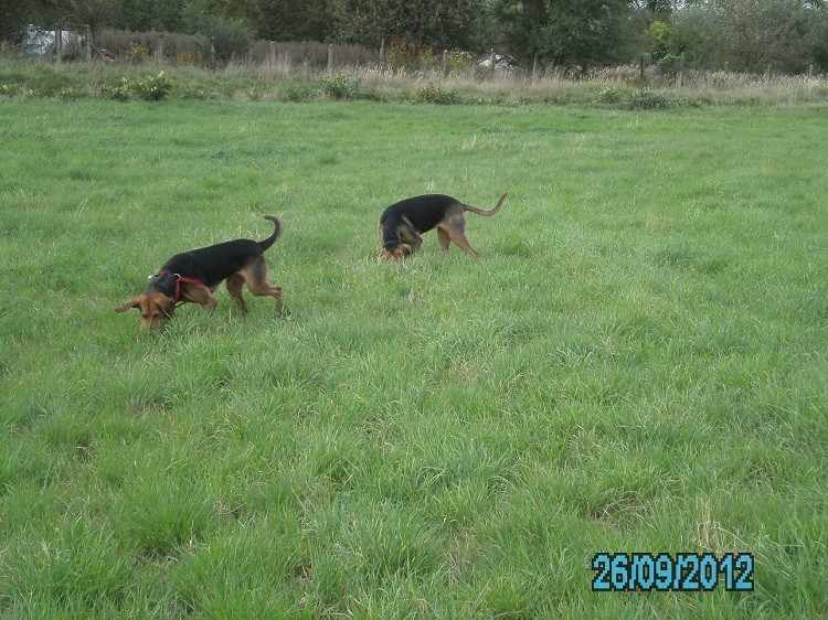 PICT0035.JPG