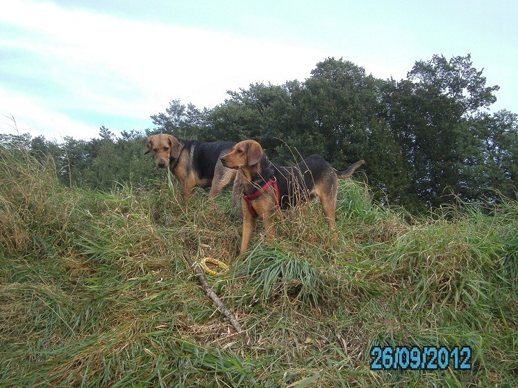 PICT0032.JPG
