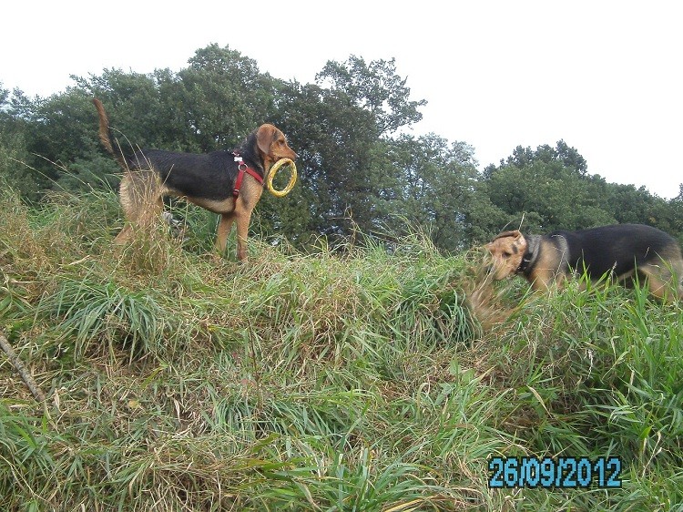 PICT0029.JPG
