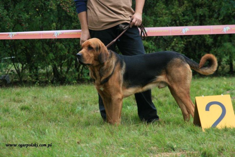 Ruczaj II w otwartej
