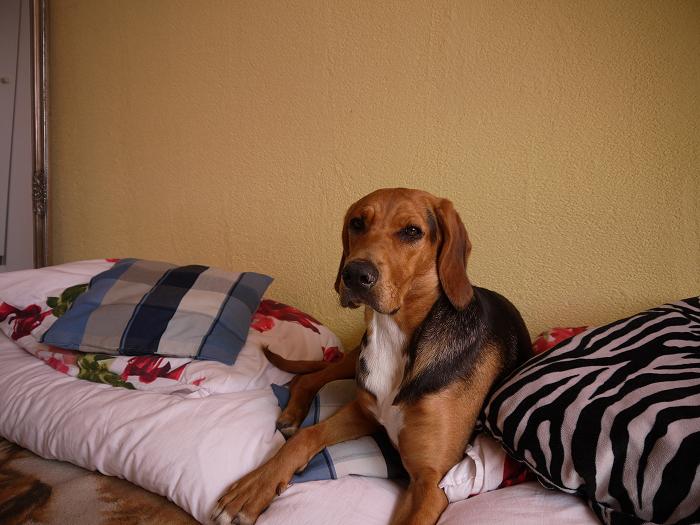 P1020923.JPG