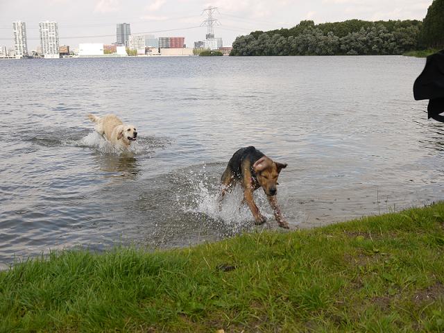 P1020949.JPG
