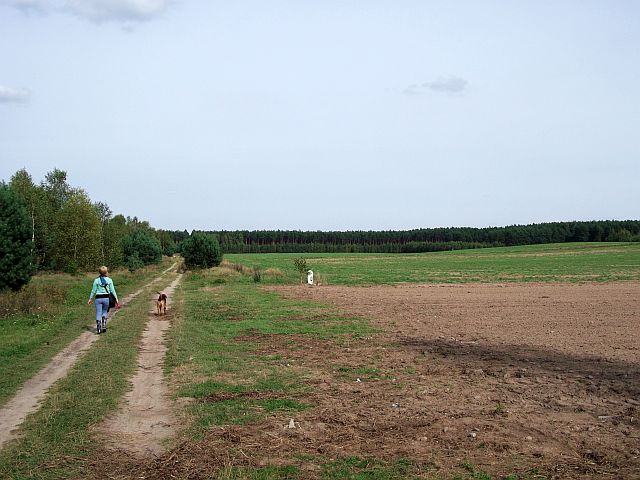 Dłuuuugie przechadzki po polach